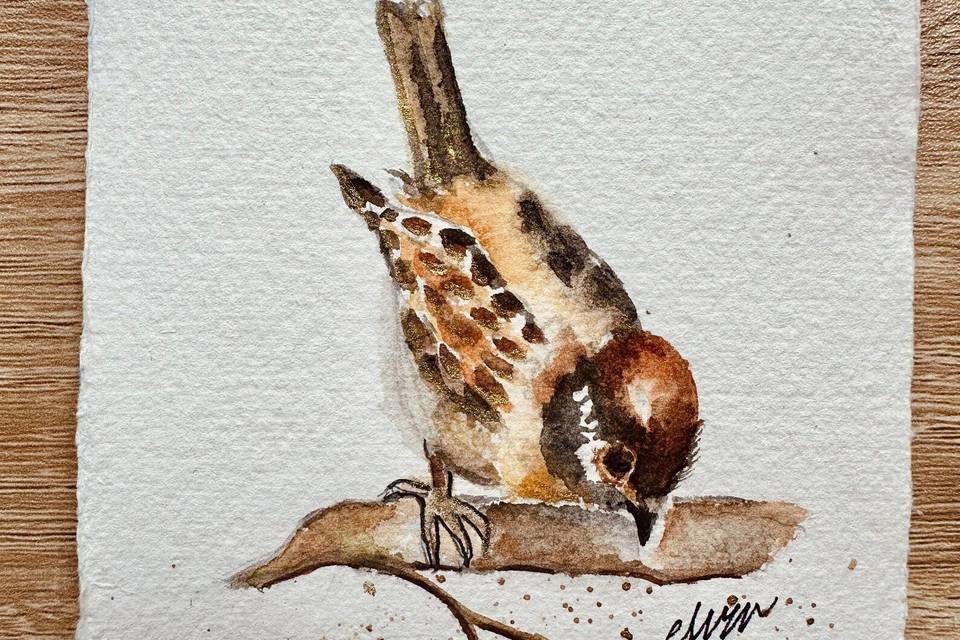 Hand-painted watercolour Bird