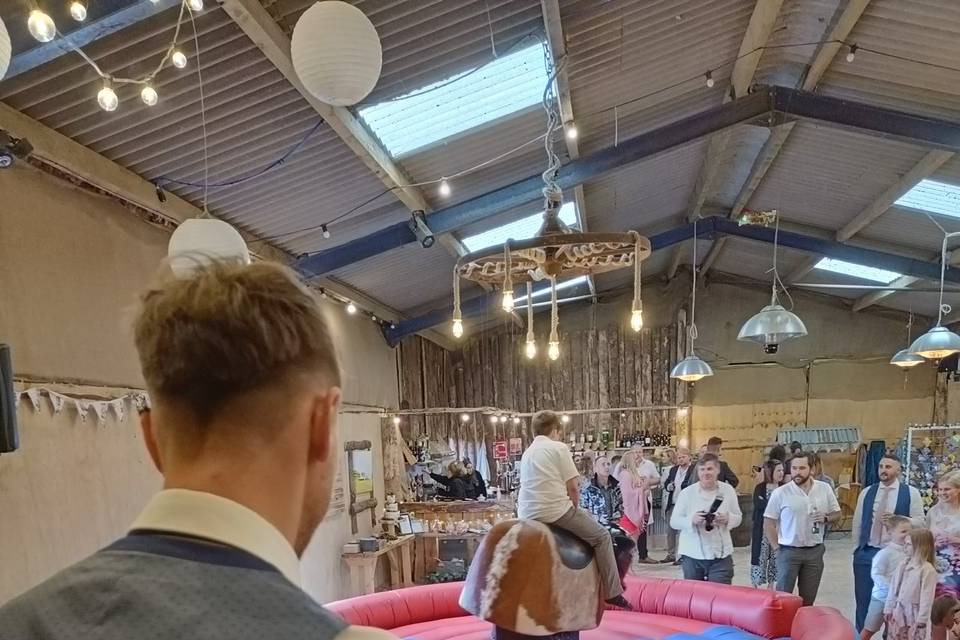 Bronco at a wedding