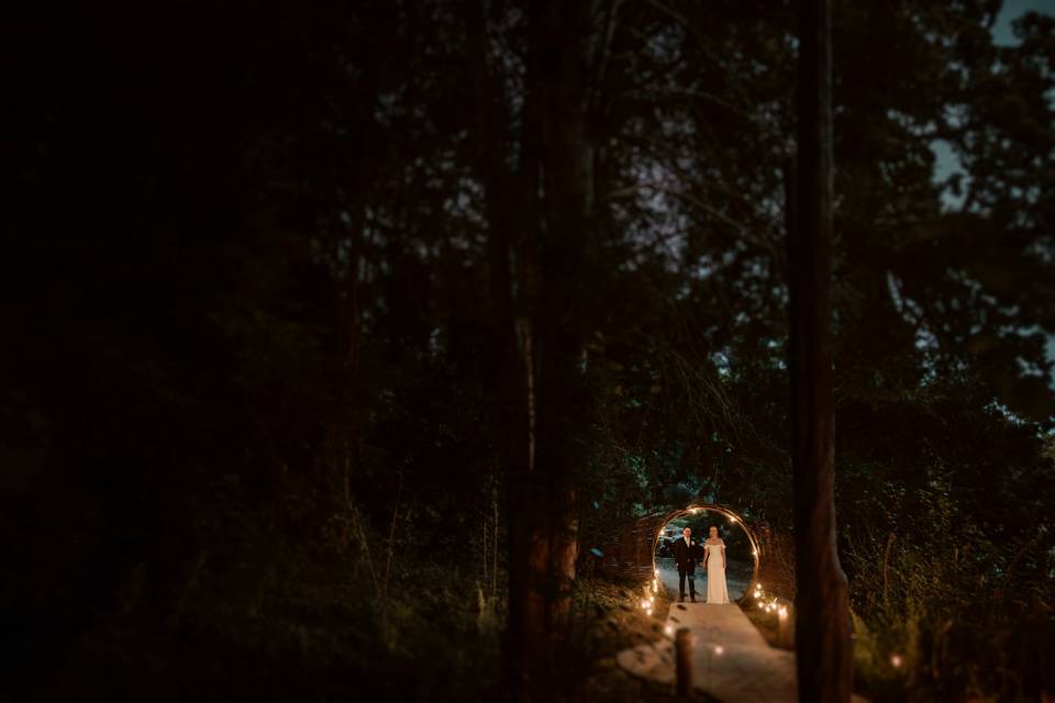 The Orangery at night