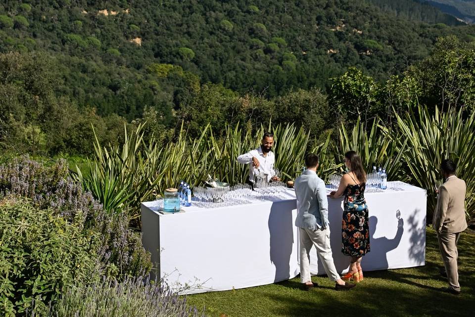 Drinks reception - Spain