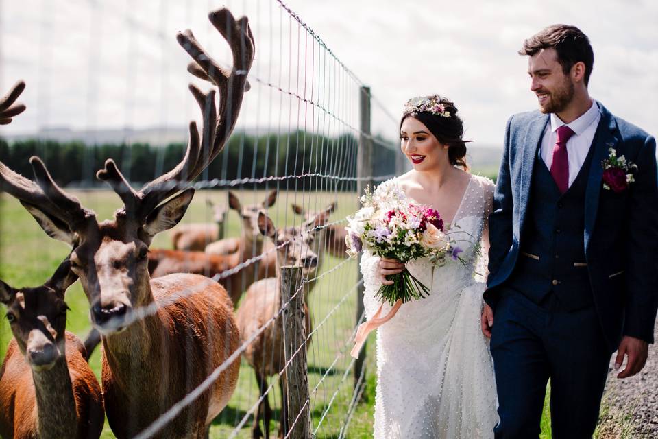 Deer park