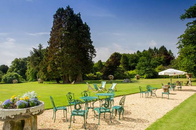 Wow. What a back garden