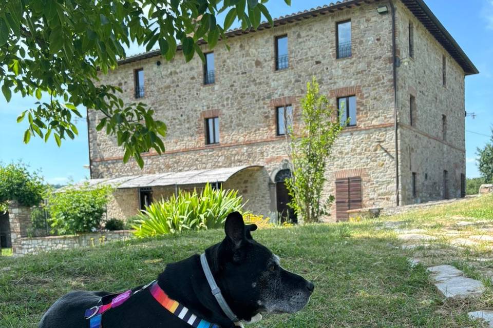 Campo al Vento Farm