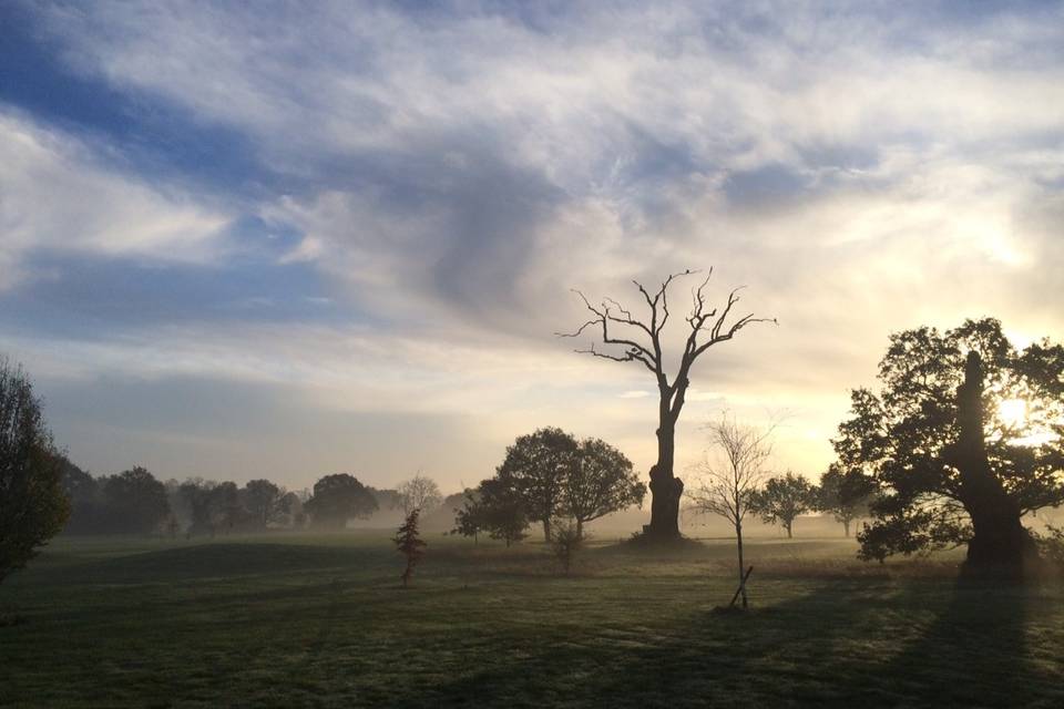 Billingbear Park Golf Course 19