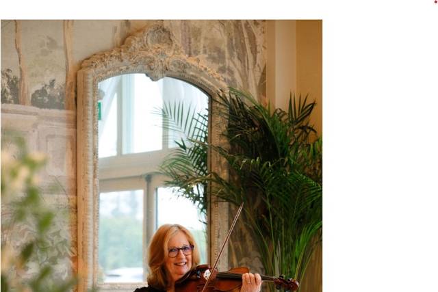 Wedding violin