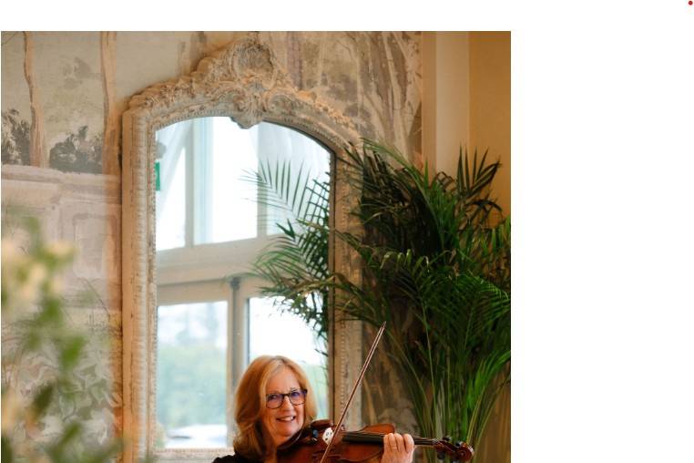 Wedding violin