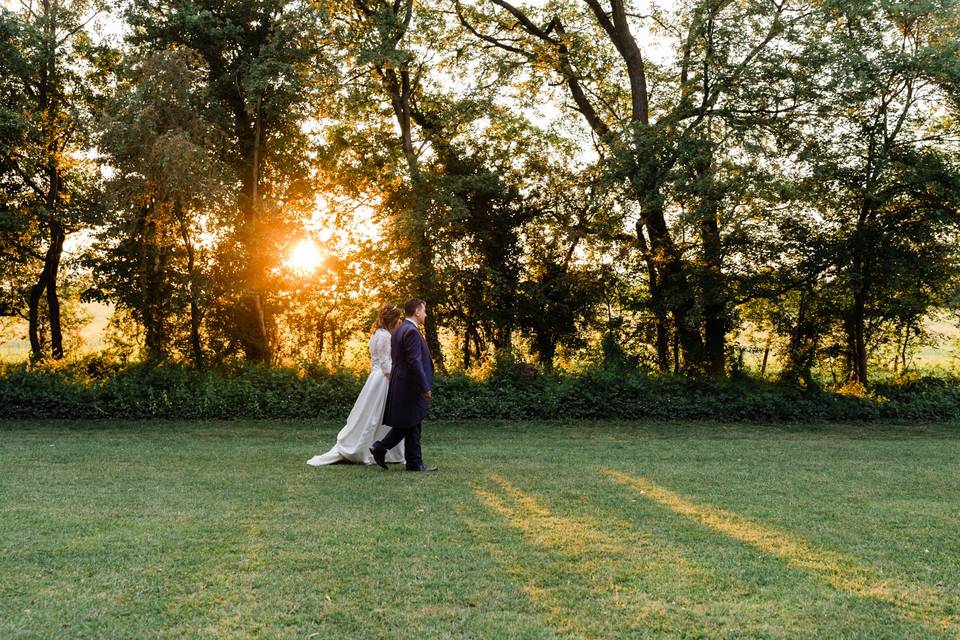 Henry Moore gardens at sunset