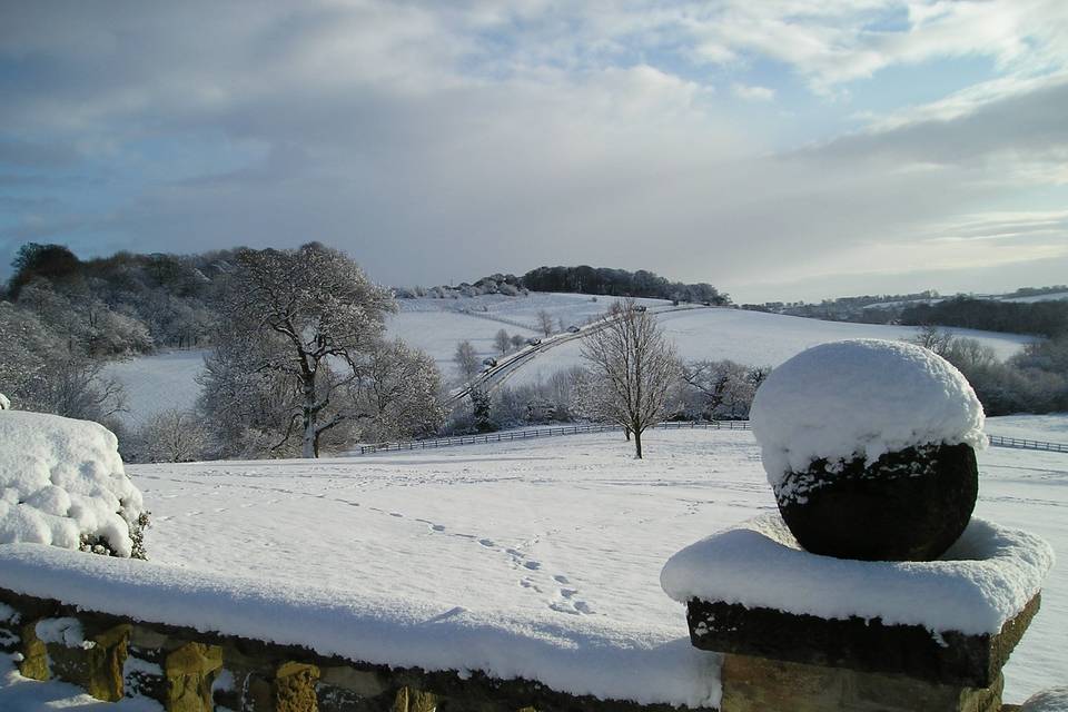 Winter Wedding