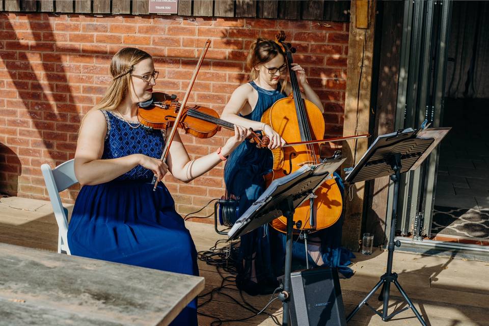 Serenity String Duo froginwell