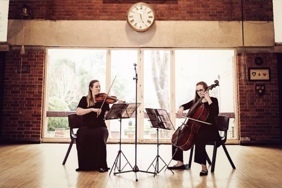 Serenity String Duo