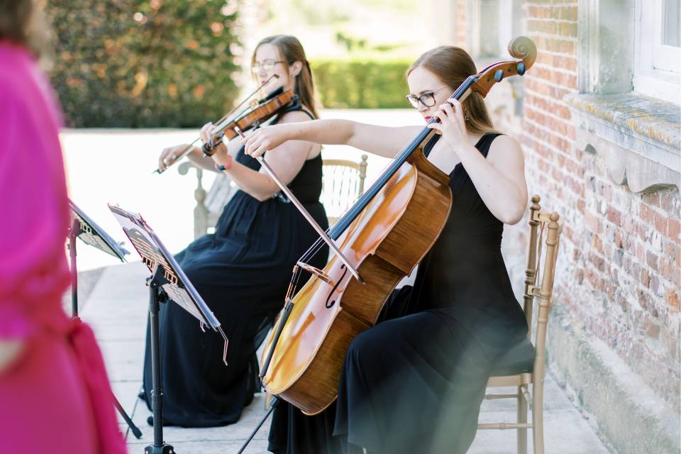 Serenity String Duo drinks