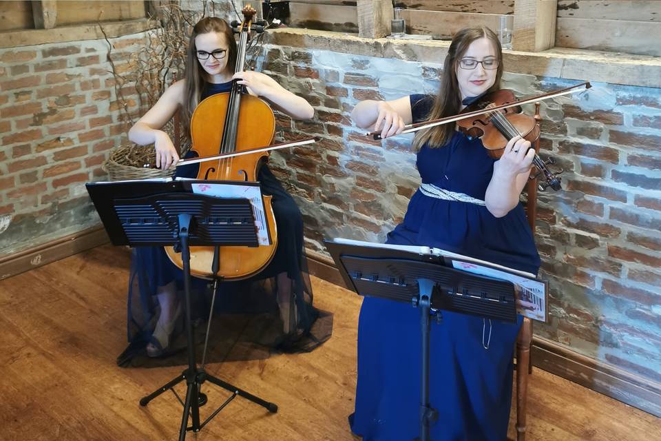 Serenity String Duo