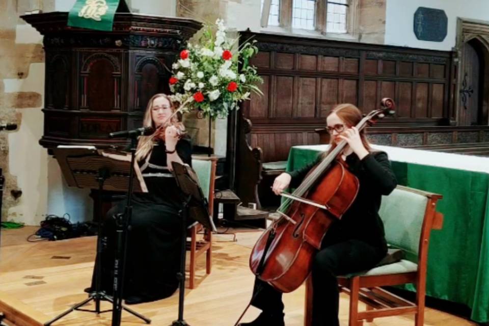 Serenity String Duo