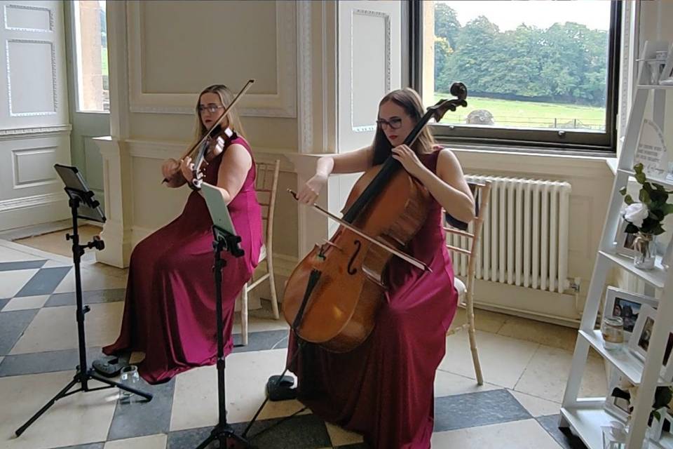 Serenity String Duo