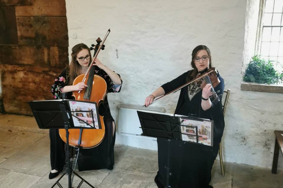 Serenity String Duo