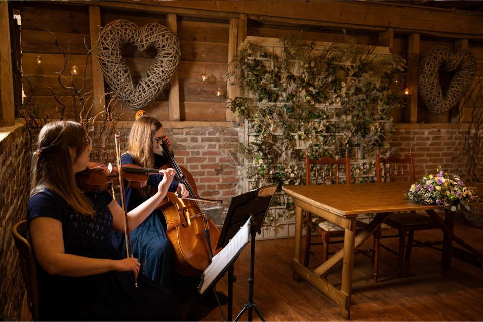 Serenity String Duo