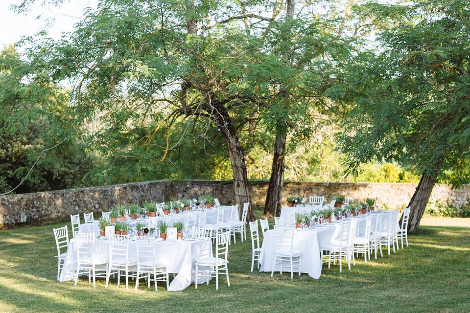 Table setup and spot