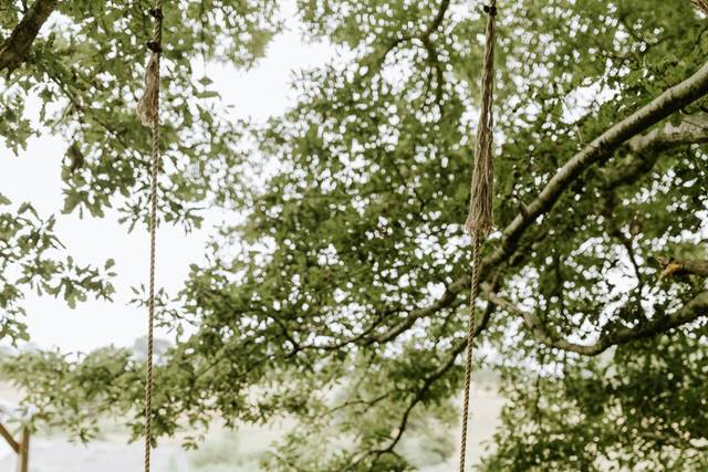Under the Oak tree