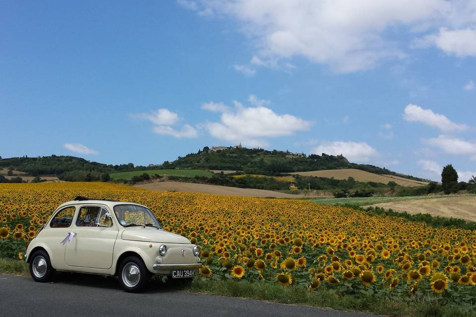 Fiat 500 Hire