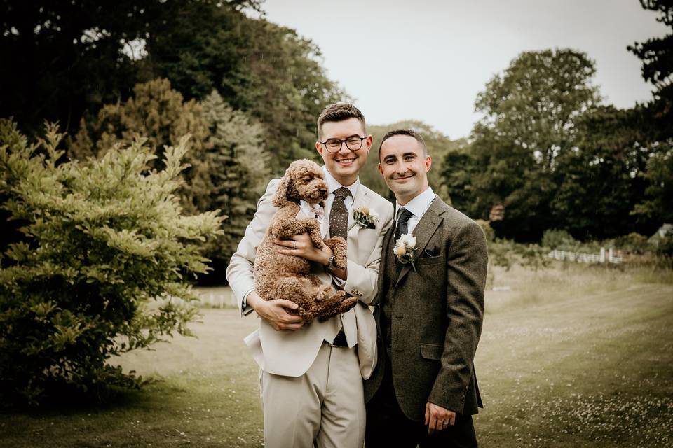 Dogs favourites