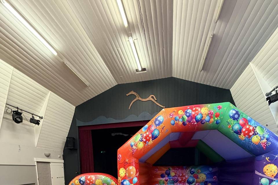Party time castle and ball pit