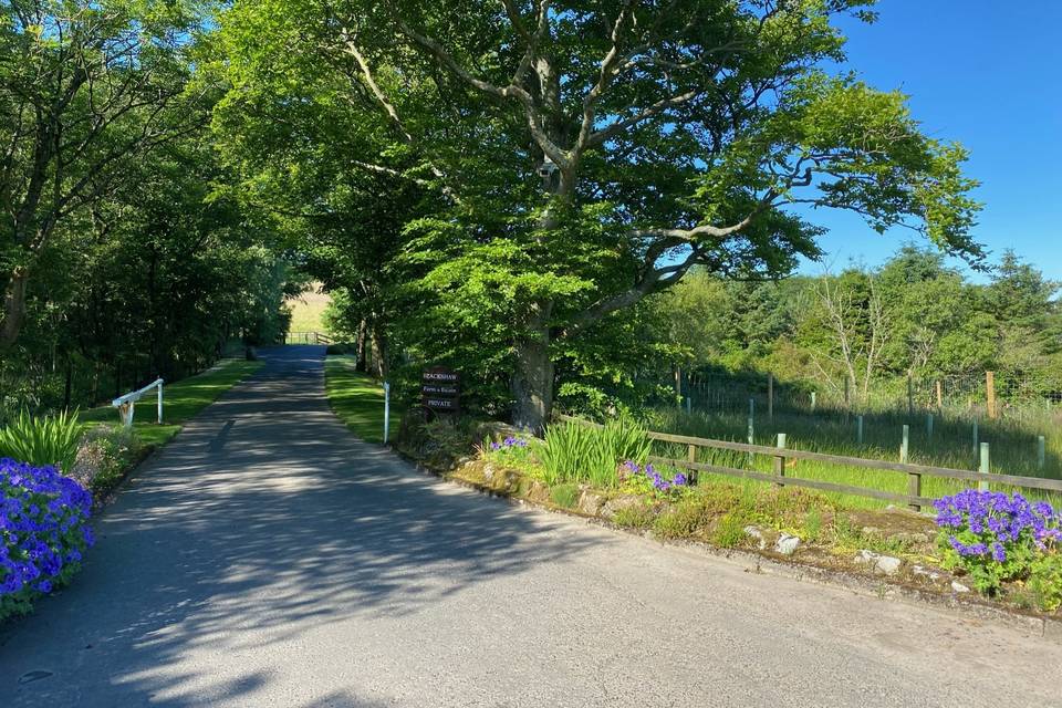 Driveway entrance