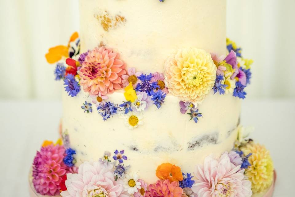 Edible Flowers & Stump