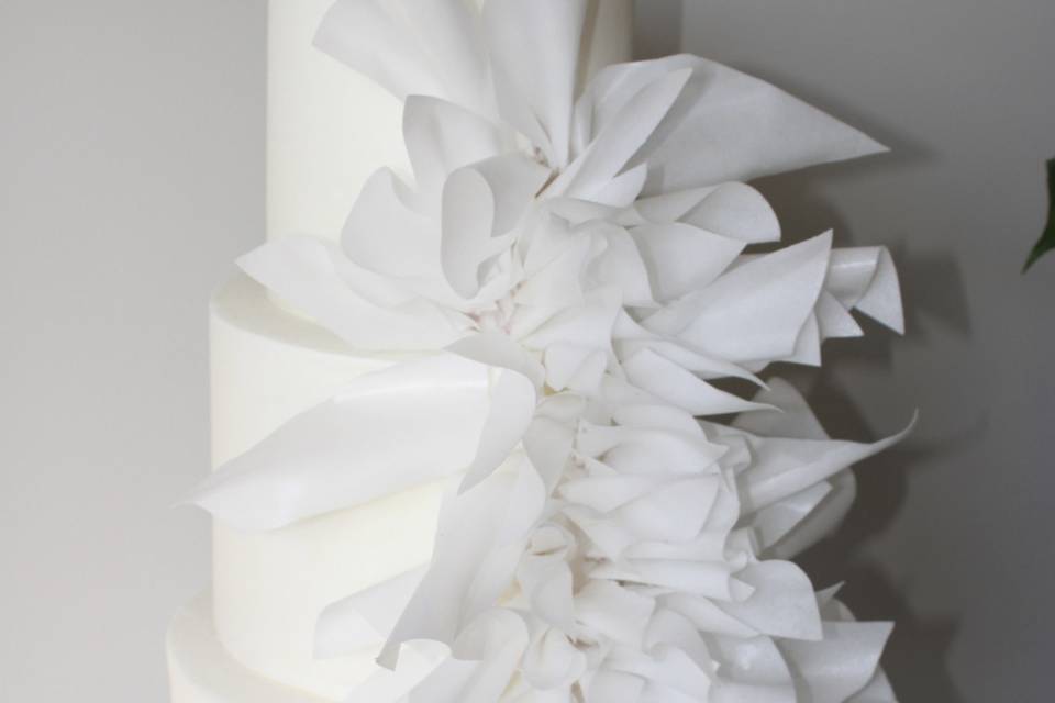 Wafer paper details