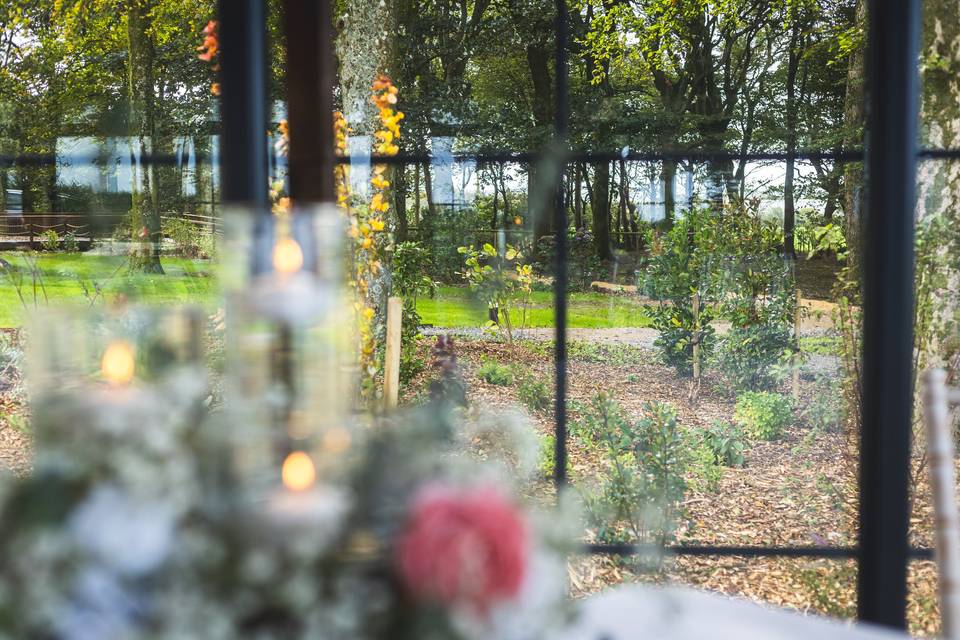 Garden view