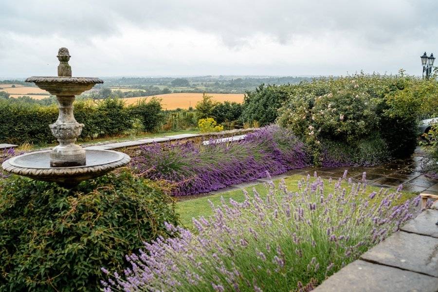 Purple blooms and fountain