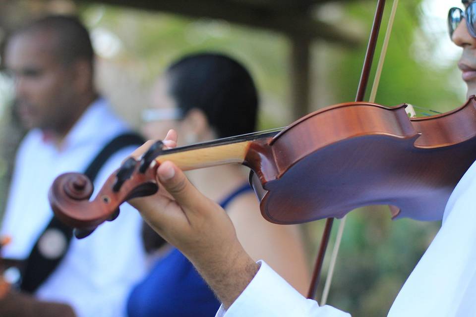 Wedding musicians