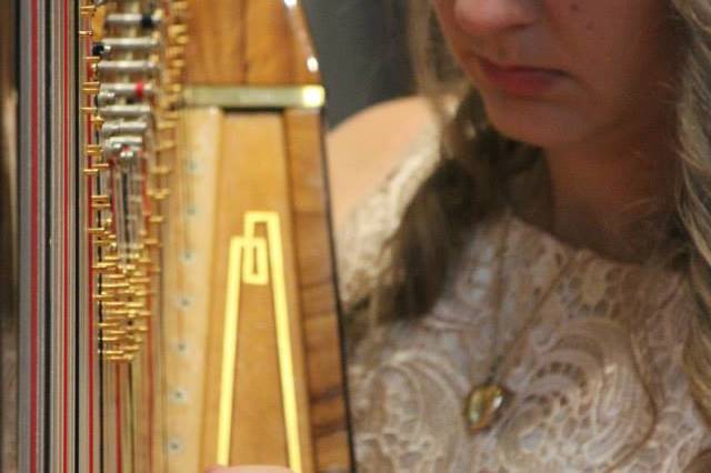 Harpist