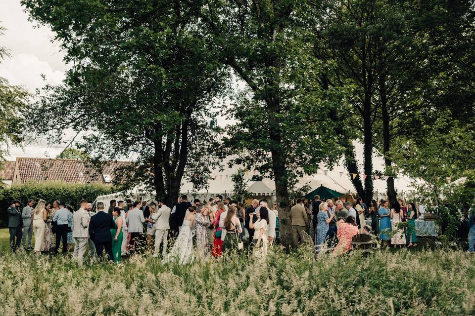 Family home garden reception
