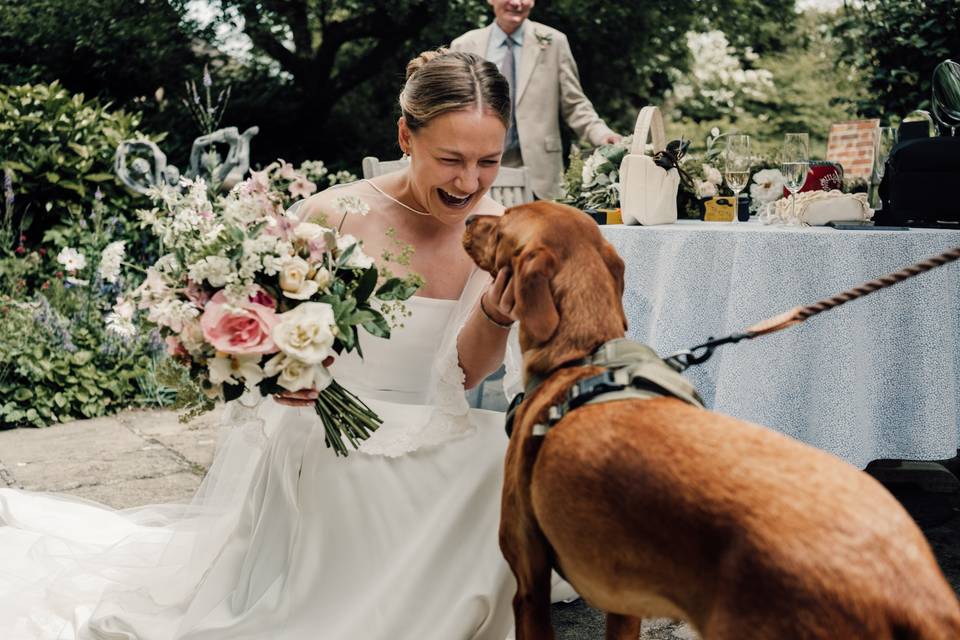 Bride and dog first look