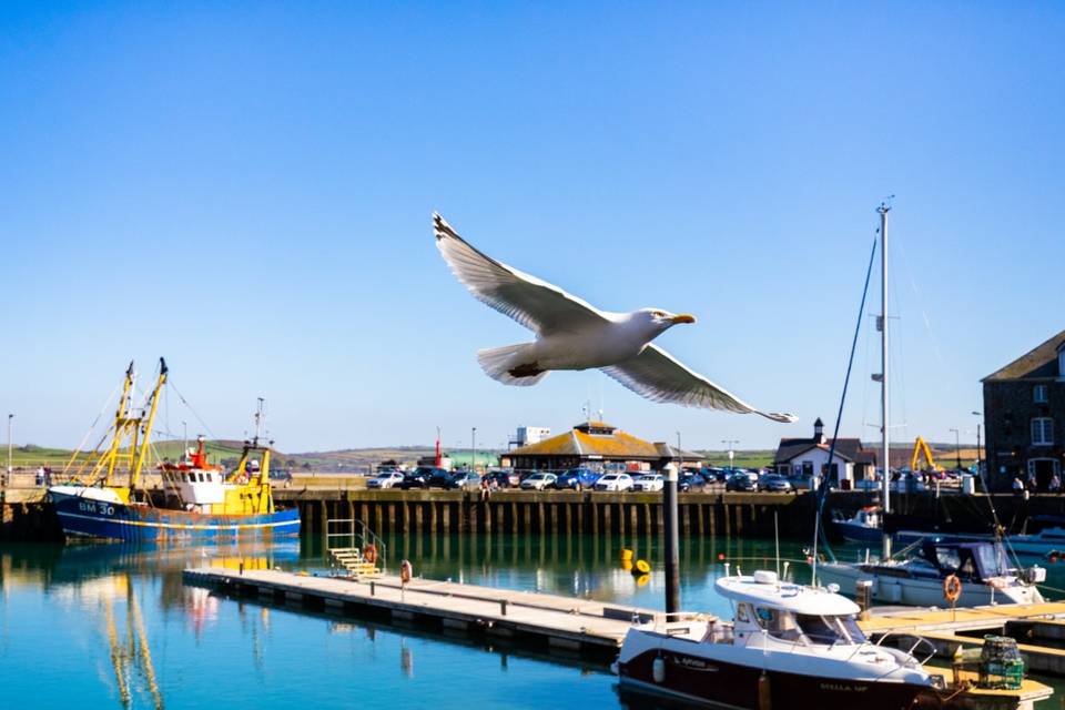 Padstow Harbour Hotel