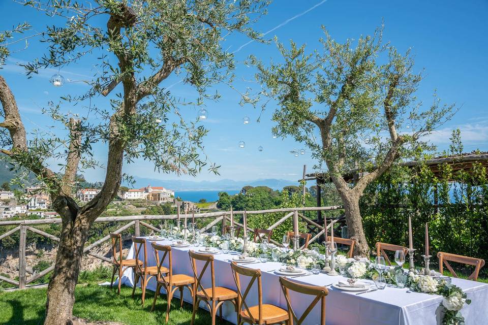 Relax between the olive trees