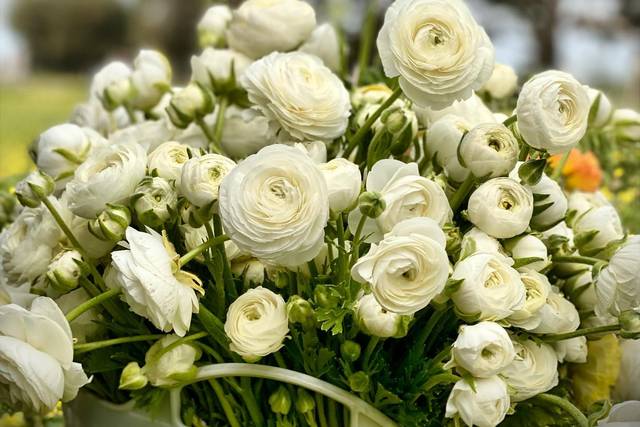 Moorfield Farm Flowers