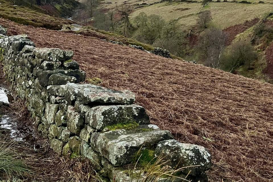 Moors