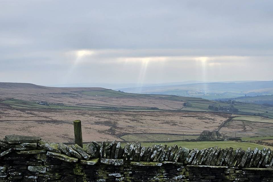 Sunlight