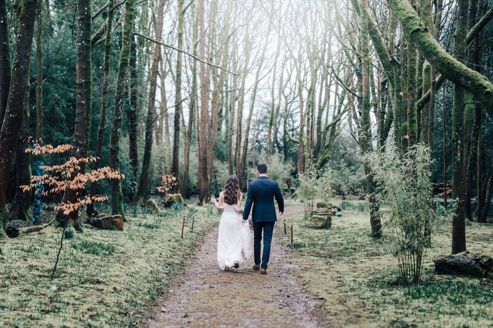 Woodland Walk