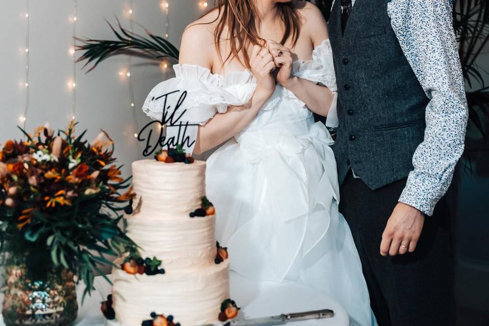 Cake Cutting