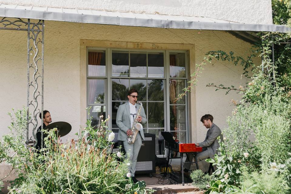 Muscians on Lawn