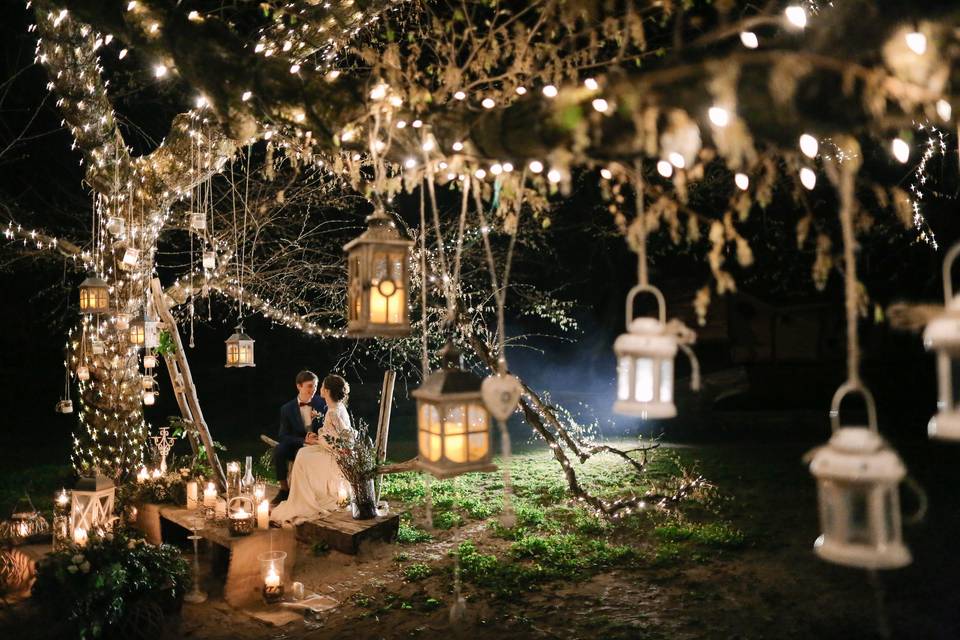 Fairy tale wedding