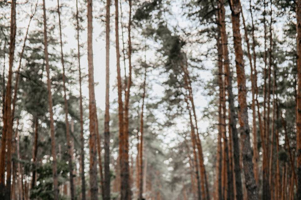 Couple on the road in the wood