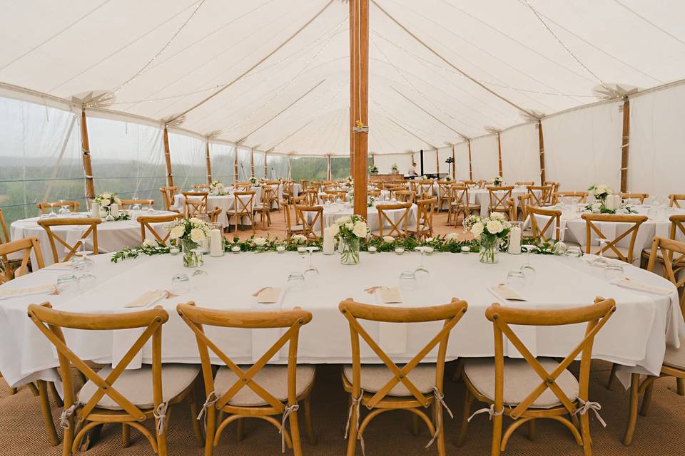 Back garden marquee