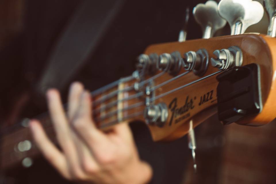 Bass Close-up