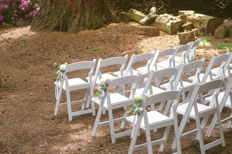 Outdoor Wedding