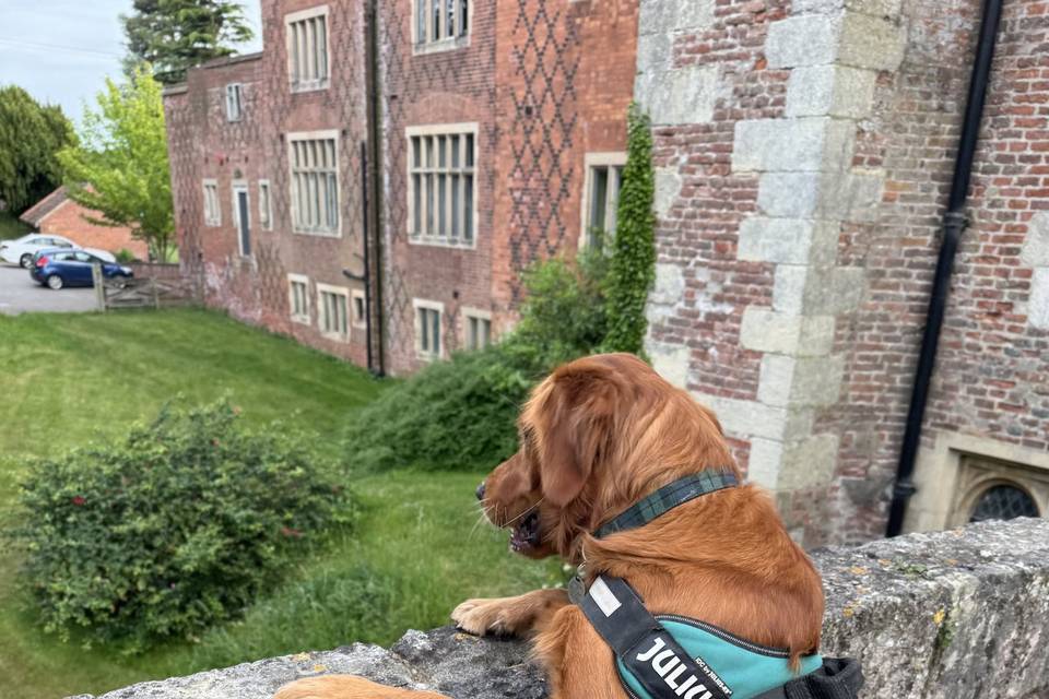 Checking out the venue
