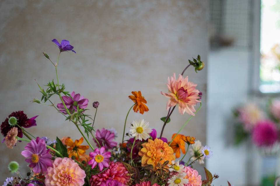 Colourful floral display