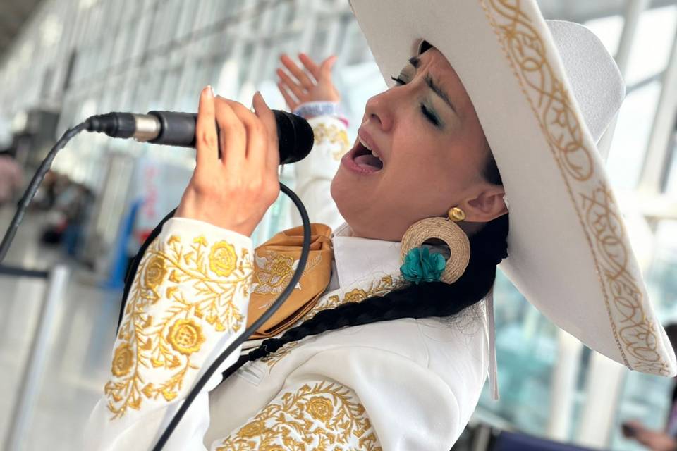 Trio Mariachi Tierra Y Alma